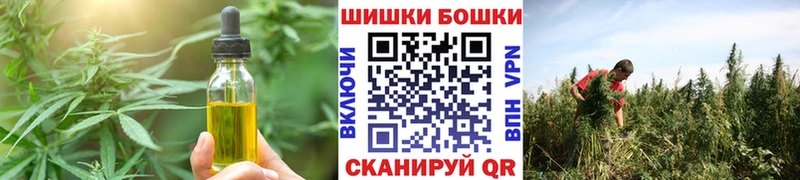 OMG маркетплейс  Михайлов  Cannafood конопля 