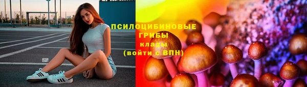 mix Вяземский