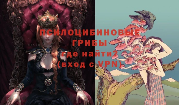 mdpv Щигры