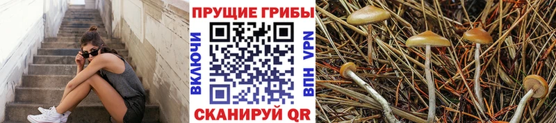 Галлюциногенные грибы GOLDEN TEACHER  Михайлов 