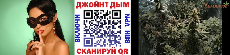 мега зеркало Михайлов Марихуана сатива